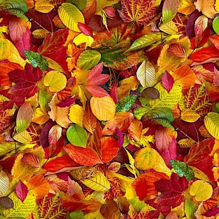 108 All Fall Down Red/Multi
