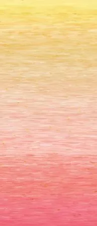 108 Go With The Flow Peach Ombre