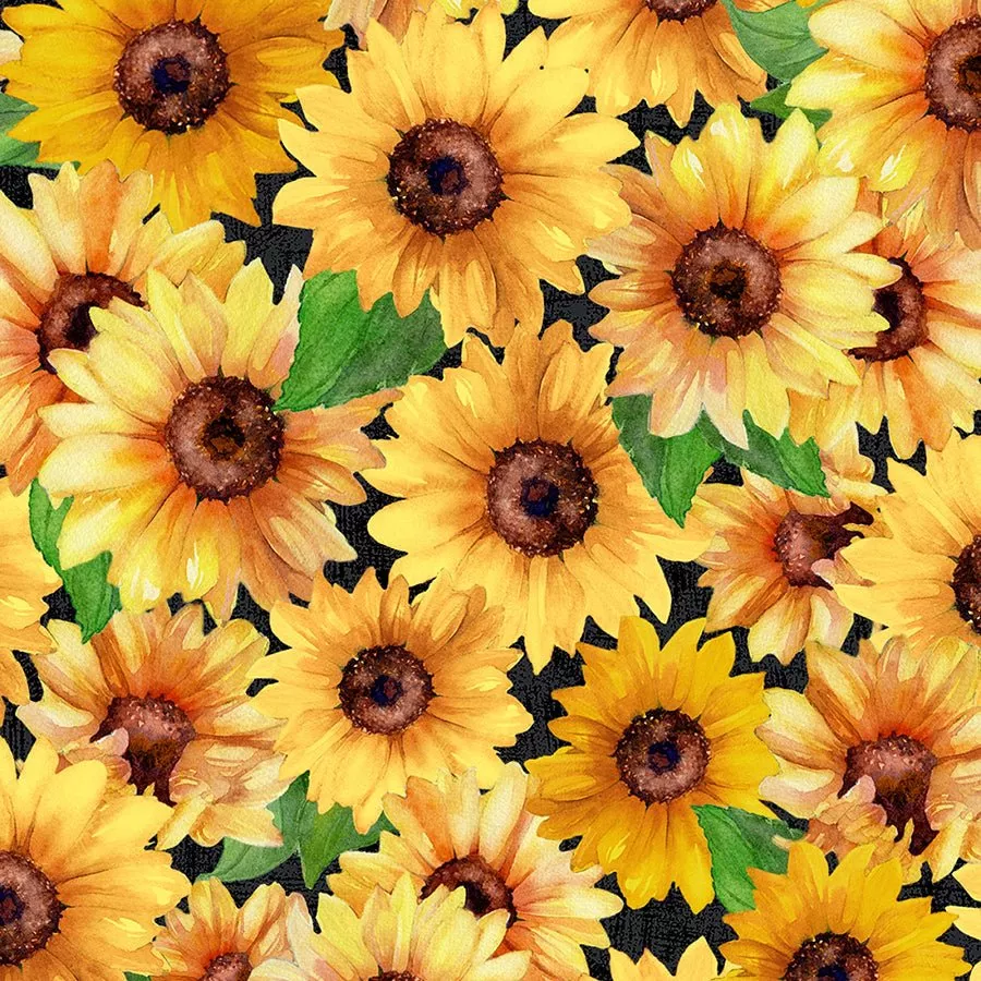 108" Wide Quilt Backing Sunshine Whispers Packed Sunflowers Black