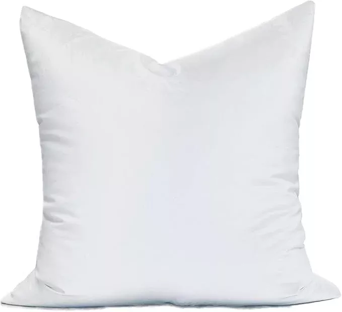 24" x 24" pillow Form