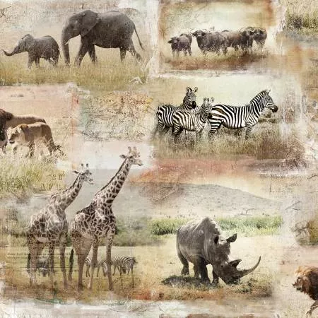 3 Wishes 18007-MLT Global Luxe Global Animals Digital ^
