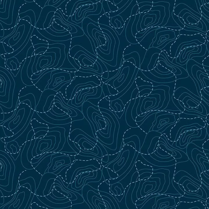 5977S-77 Blue Elevation Map Judy Gauthier Studio E ^