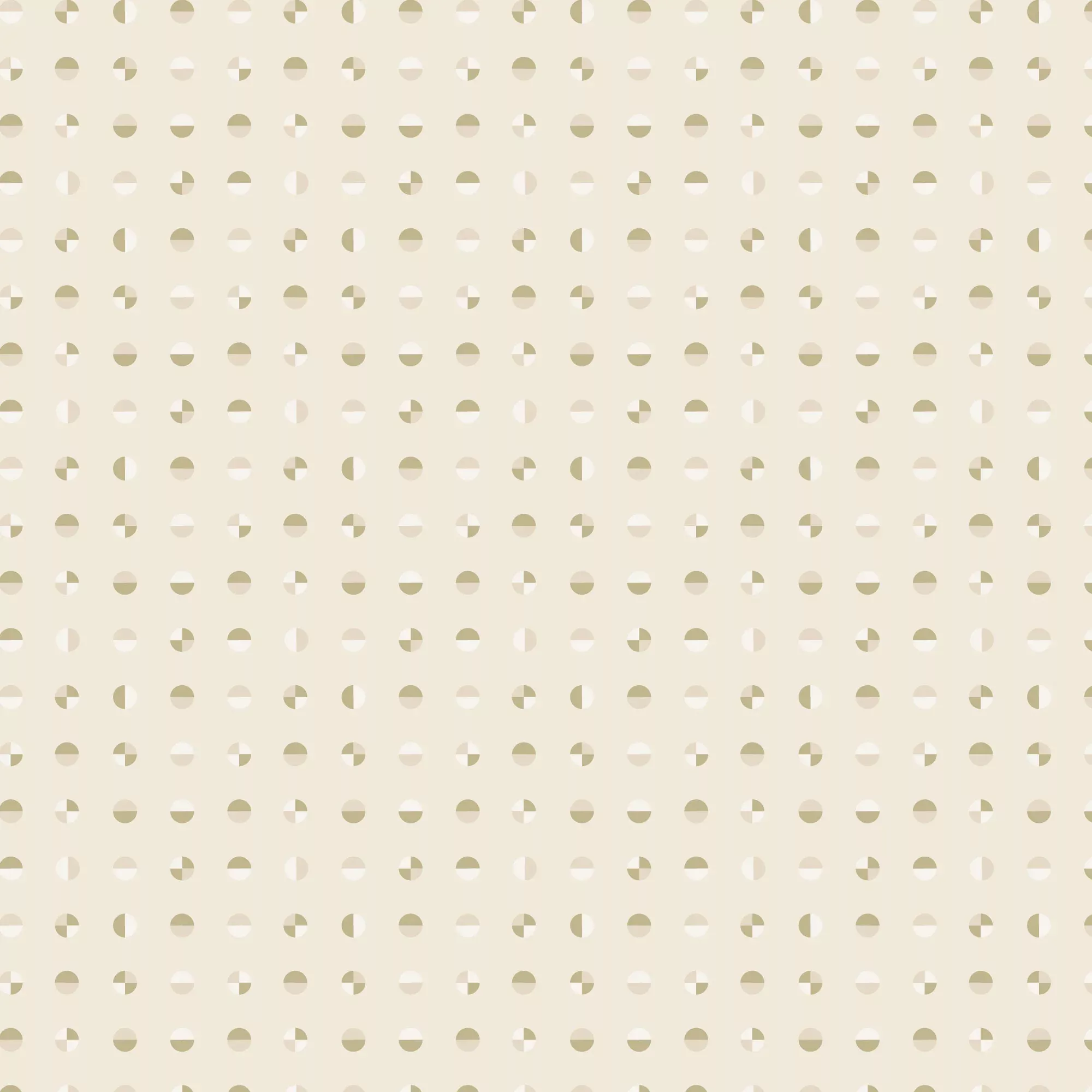 AMERICAN BOLD - Circular | Oyster Shell
