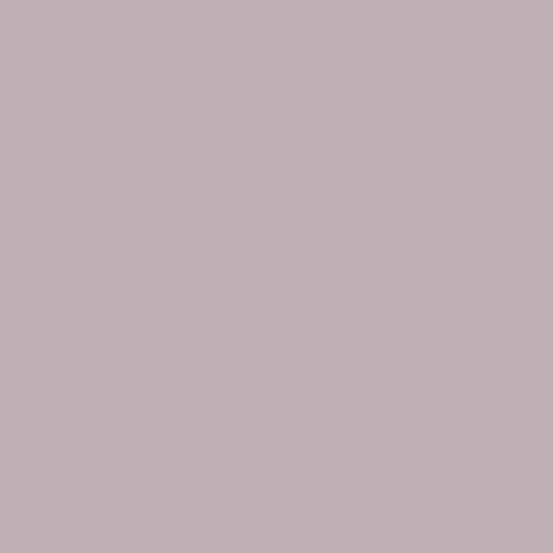 Andover Fabrics CS 10 Whisper Solid^