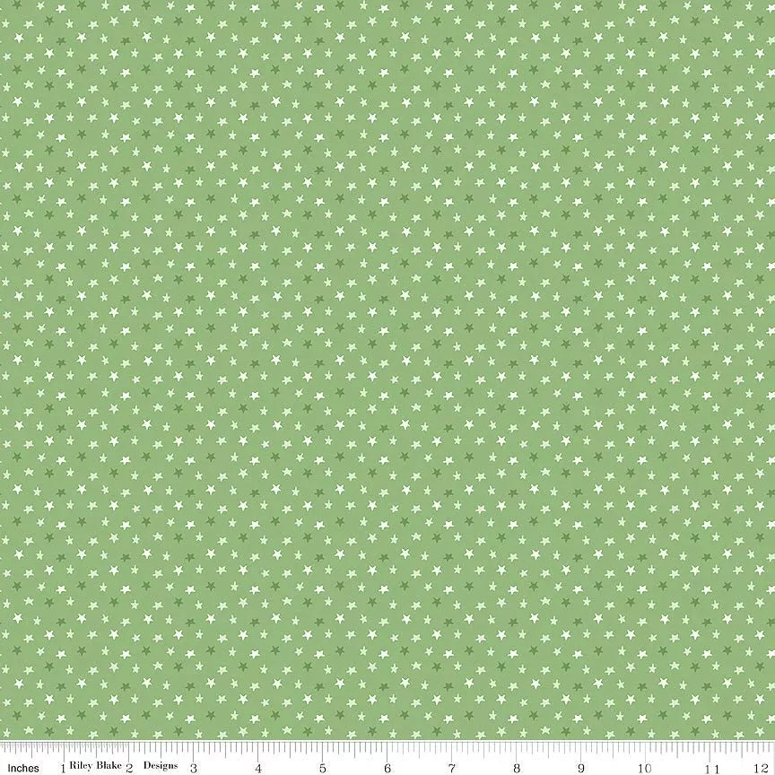 Baby Boy Stars Basil