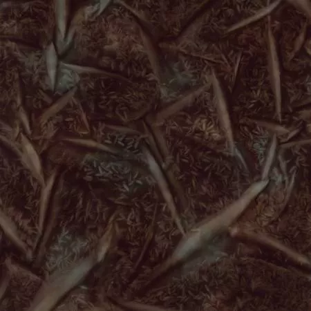 Batiks : Jasmine Espresso - #BT23457-139 - Riley Blake Designs