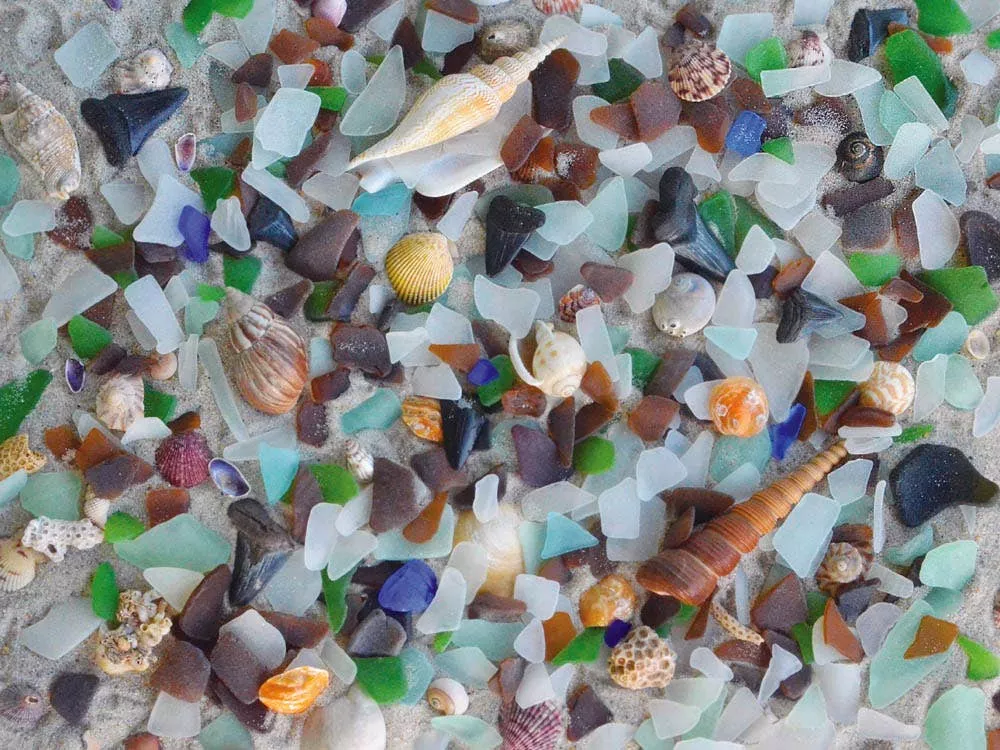 Beach Treasure 550 Piece Puzzle