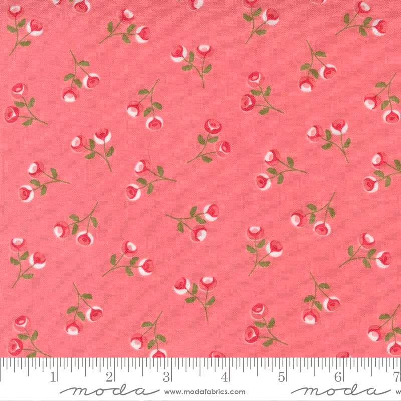 Beautiful Day Tea Rose - Rosebuds