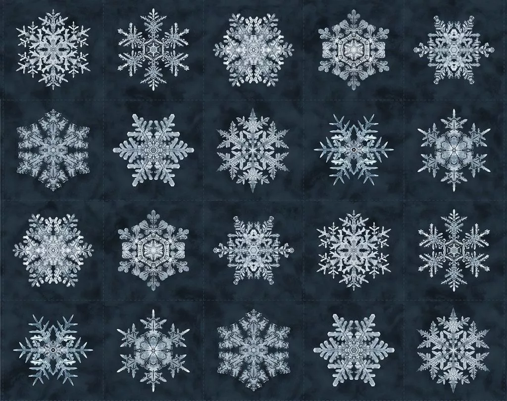 Bentley's Snowflakes in Navy Snowflakes by Marcus Fabrics R650952D