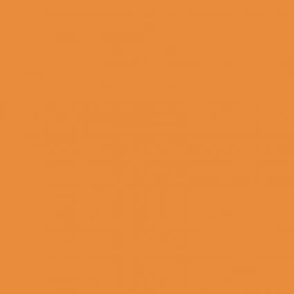 Birch Organic Solid Cotton Poplin Orange ^