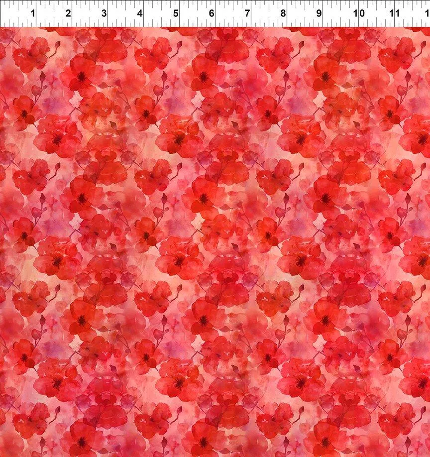 Blooming Day & Night - In The Beginning - Scarlet Beauties 6BDN-1
