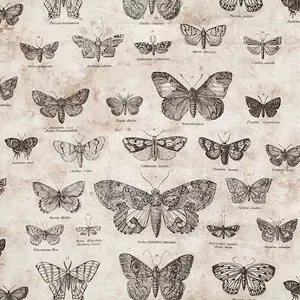 Butterflies- Foundations Tim Holtz