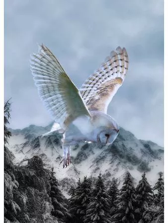 Call Of The Wild Majestic Barn Owl Powder Blue