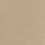 Chambray : Beige - #TIL160036-V11 - Tilda