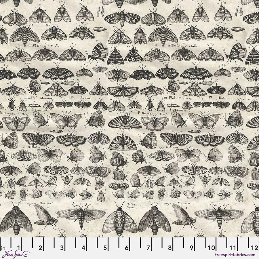 Charcoal Moths-Tim Holtz