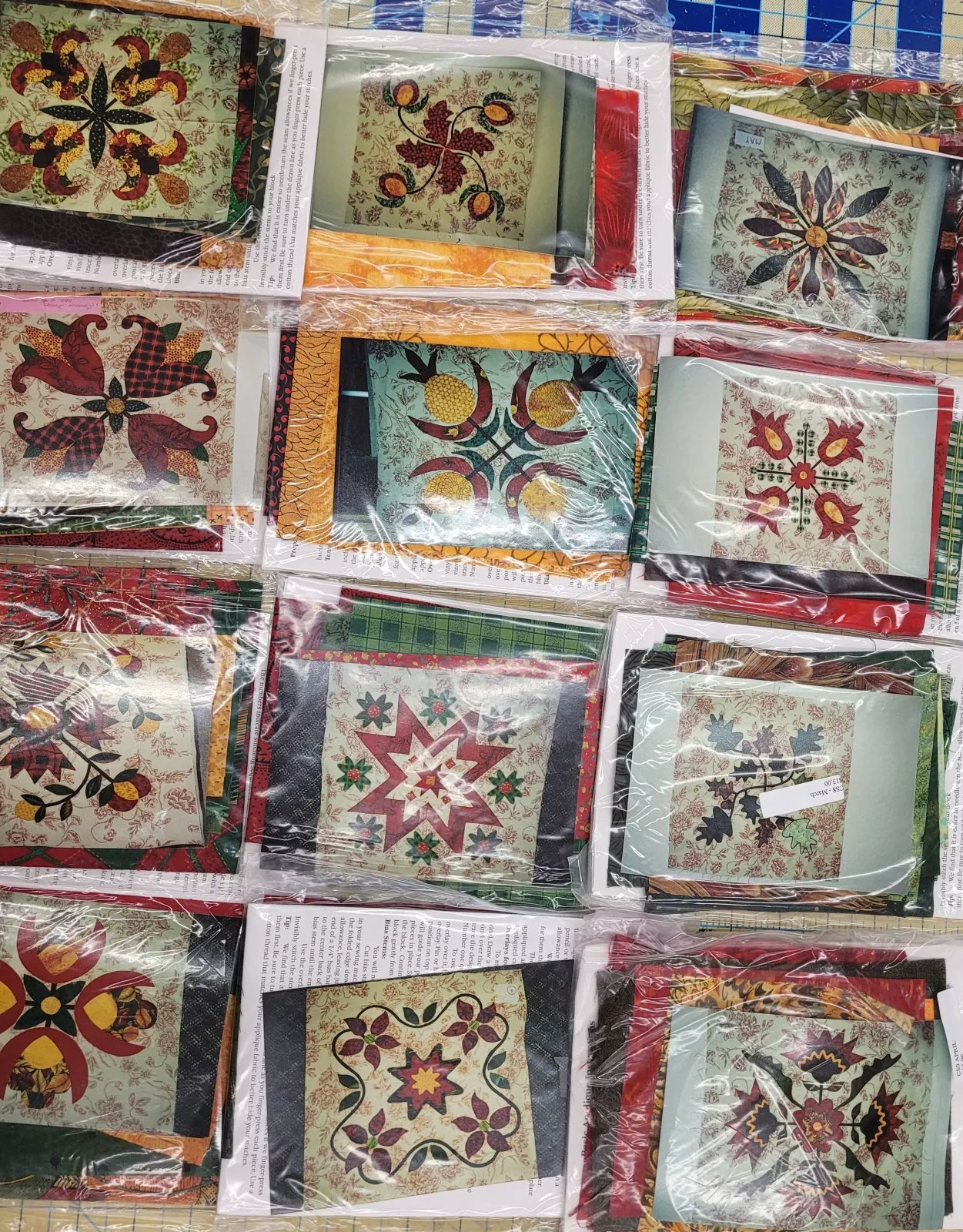 Cinnamon Stitches BOM Quilt Full Set of 12 - 20
