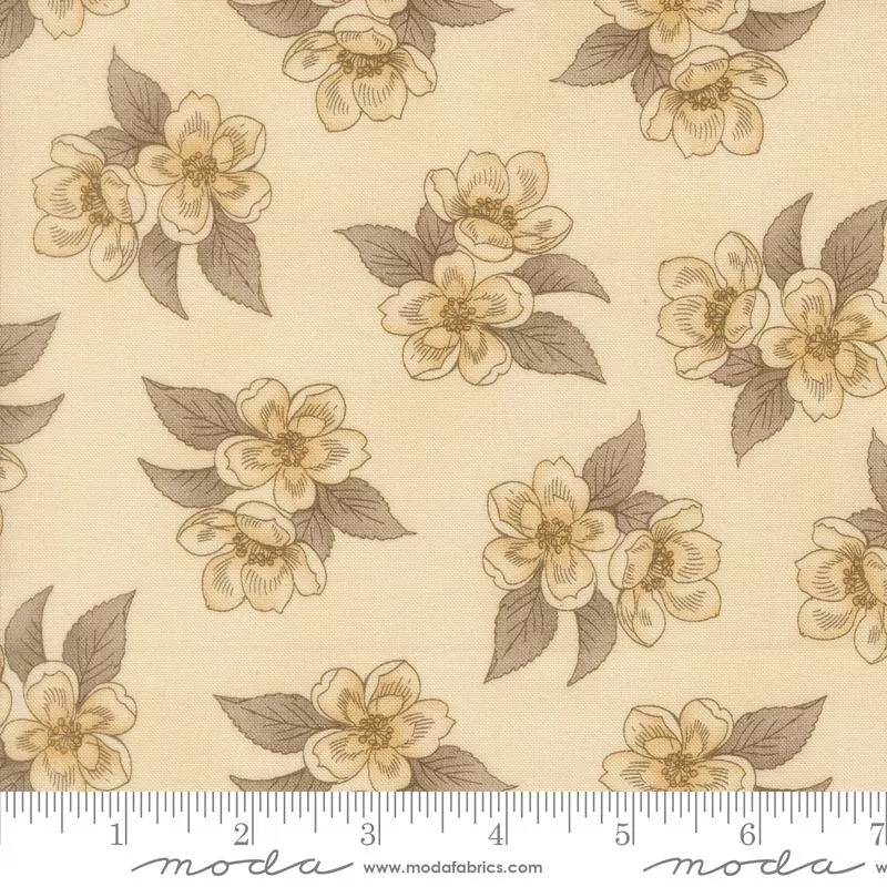 Collections Magnolia : Ivory - #46282 11 - Moda #1