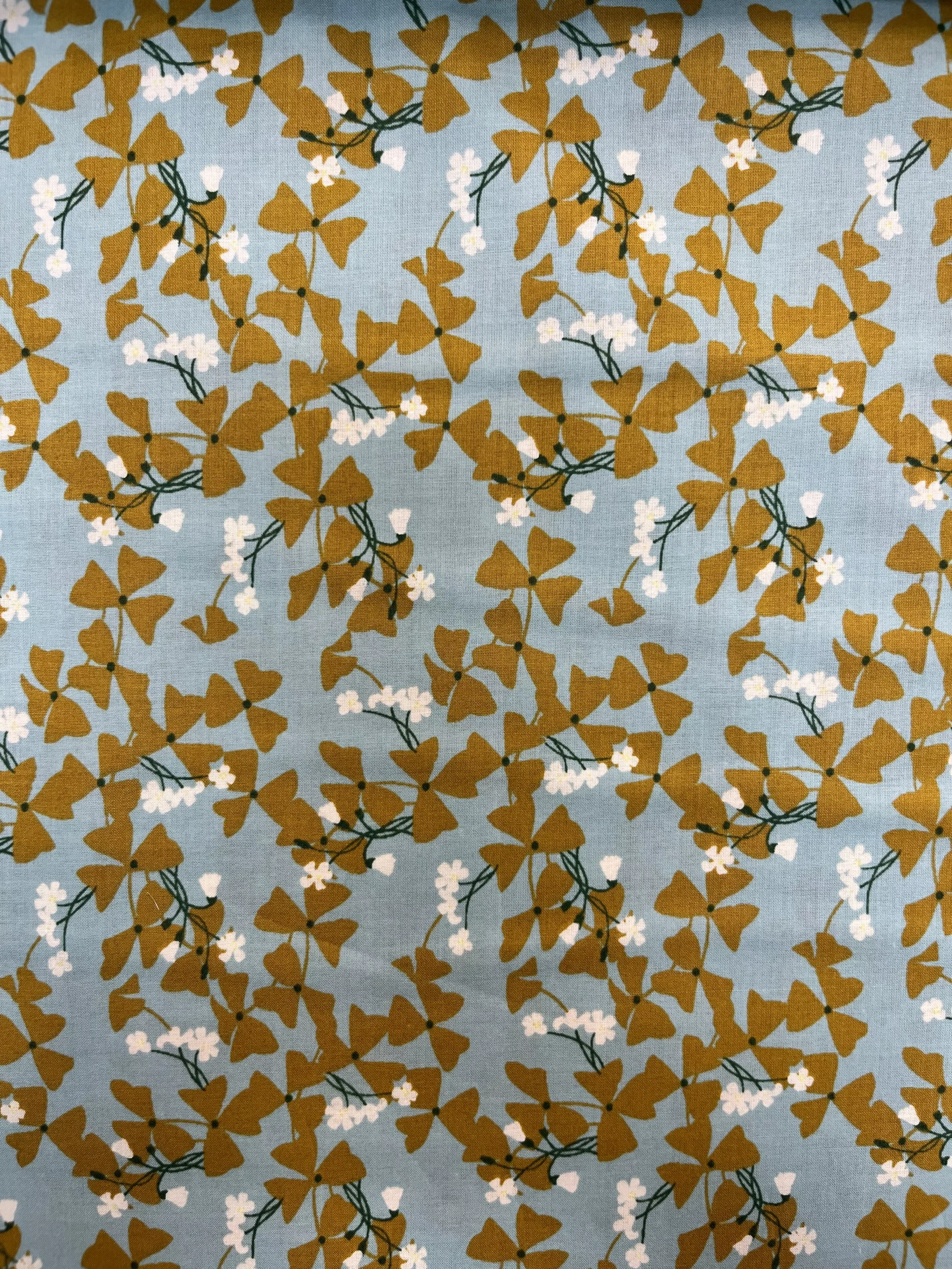 Crystal Lawn - Ivy Mint | SB-850513D1-2 MINT