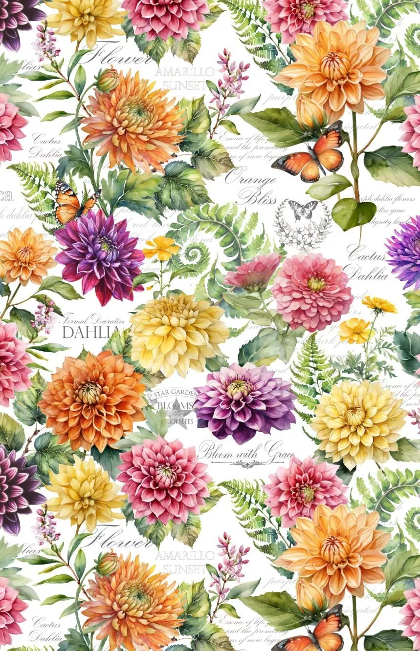 Dahlia Bontanica - Wilmington - Large Floral 1665-33923-185