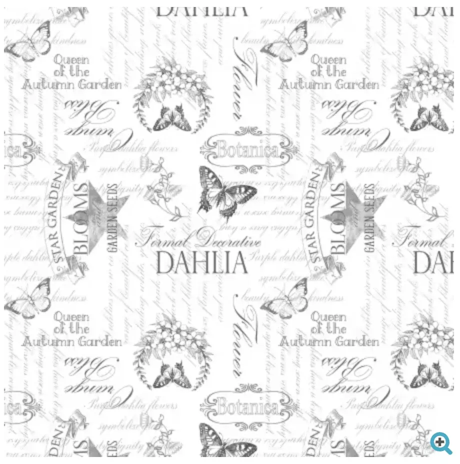 Dahlia Botanica-Ephemera White