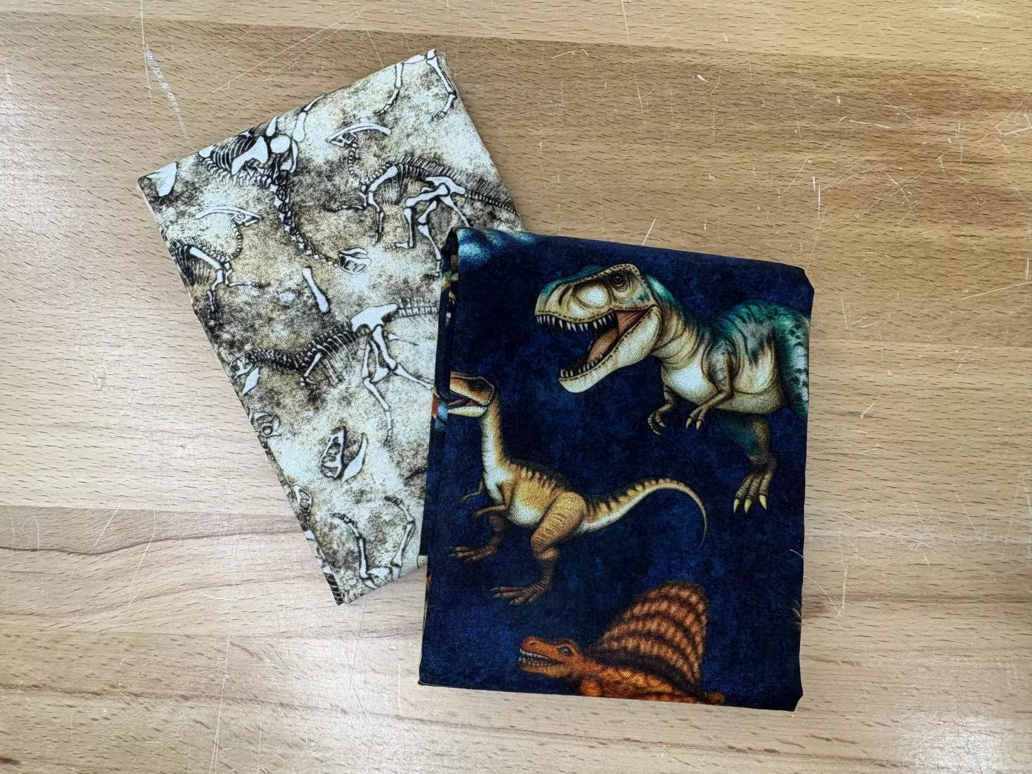 Dino Bones Placemat KIT - Makes 1 Placemat - 12" x 16"