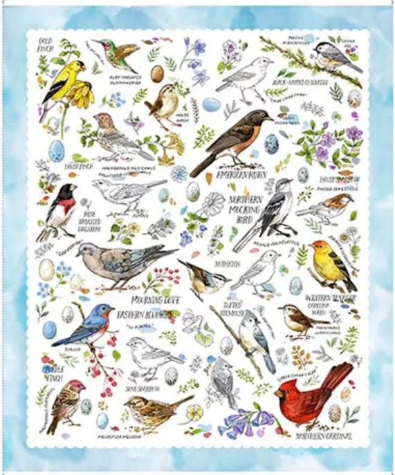 Drawn to Birds - 36" Sky Blue Panel 31133 -B by QT Fabrics - 021