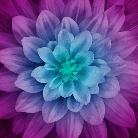 Dream Big : Aurora Large Flower 43" x 43" Digitally Printed - #P4389H-532 - Hoffman Fabrics