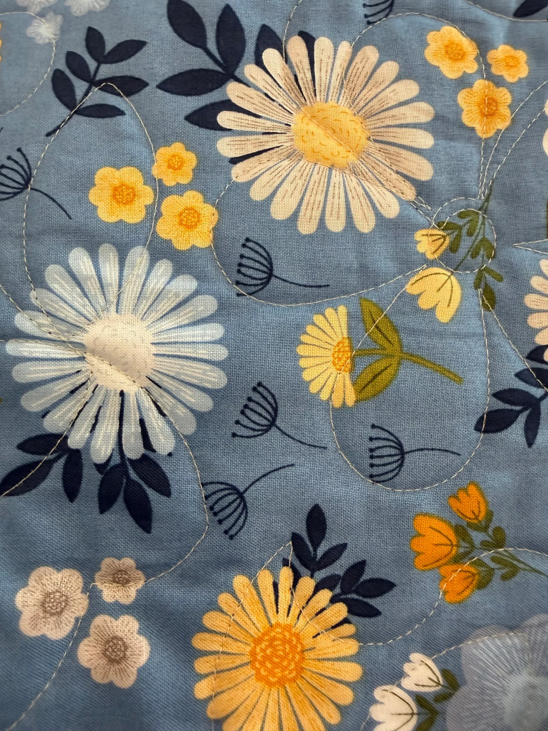 Duck, Duck, Goose Quilt Backing - Sunshine & Dandelions