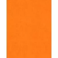 Essentials - Criss Cross by Wilmington - Orange 1825-85507-888