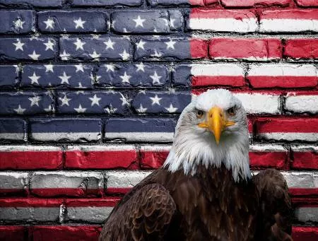 Focus on Fabric 18.5" X 25" Long wide American Pride MISC-022 Panel