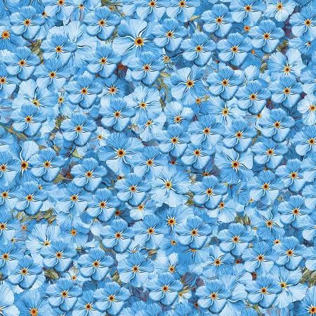 Forget Me Not Blue Flowers