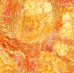 Fusion II 28291-OSURGE ORANGE 016542231413 ^