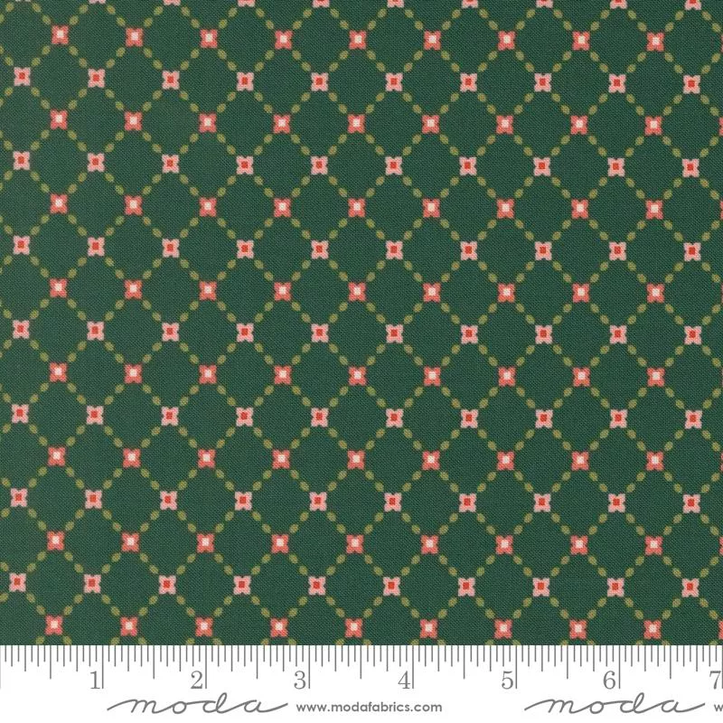 Garden Glam : Perennial Checks Teal - #5273 18 - Moda #1