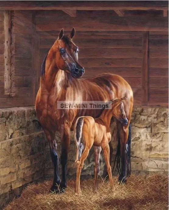 AND GOD CREATED A HORSE