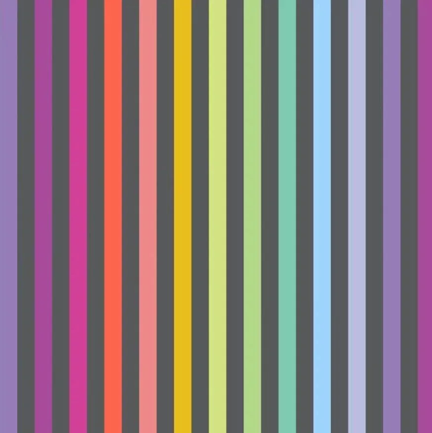 Graywork by Tula Pink - Disco Stripe PWTP231.CARBON