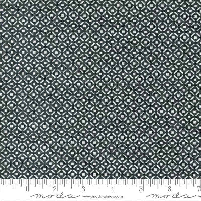 Harvest Moon by Fig Tree for Moda - Geometric Wht on Blk 20474-18