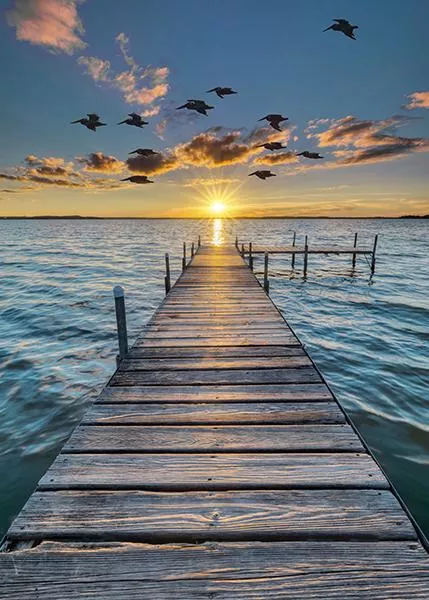 HFF Call Of The Wild Dock - W5421-151 Sunset - Cotton Fabric
