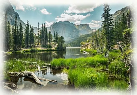 HFF Call of the Wild V5273-311 Lake - Cotton Fabric