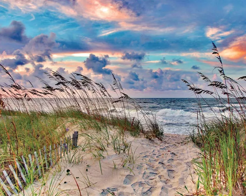 High Tide 1000 Piece Puzzle