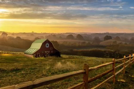 Homestead - Barn Oak 29'' Panel