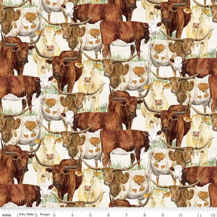 The Homestead Herd of Cattle Cream