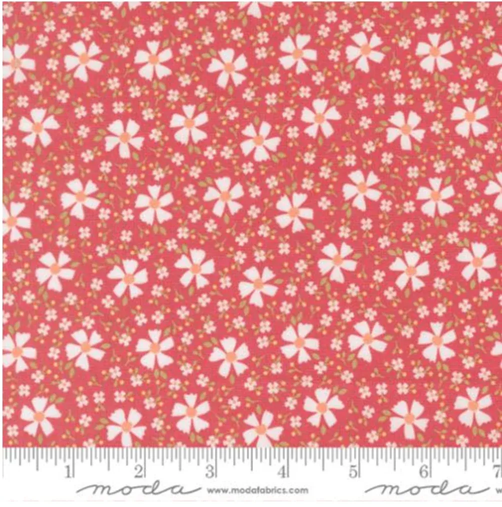 In the Garden-Blooms and Blossoms-Strawberry