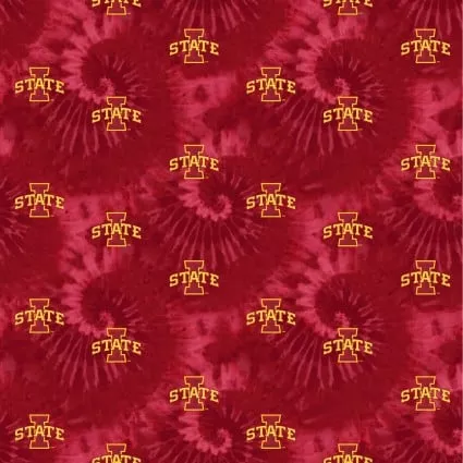 Iowa State - #SYKCCPISU1316