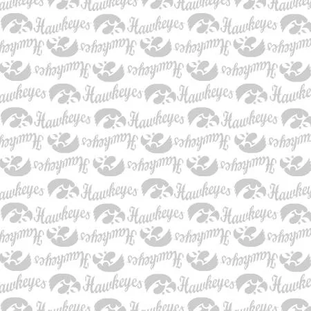 Iowa White on White : NCAA Mini Packed Cotton - #IA1393-W - Sykel