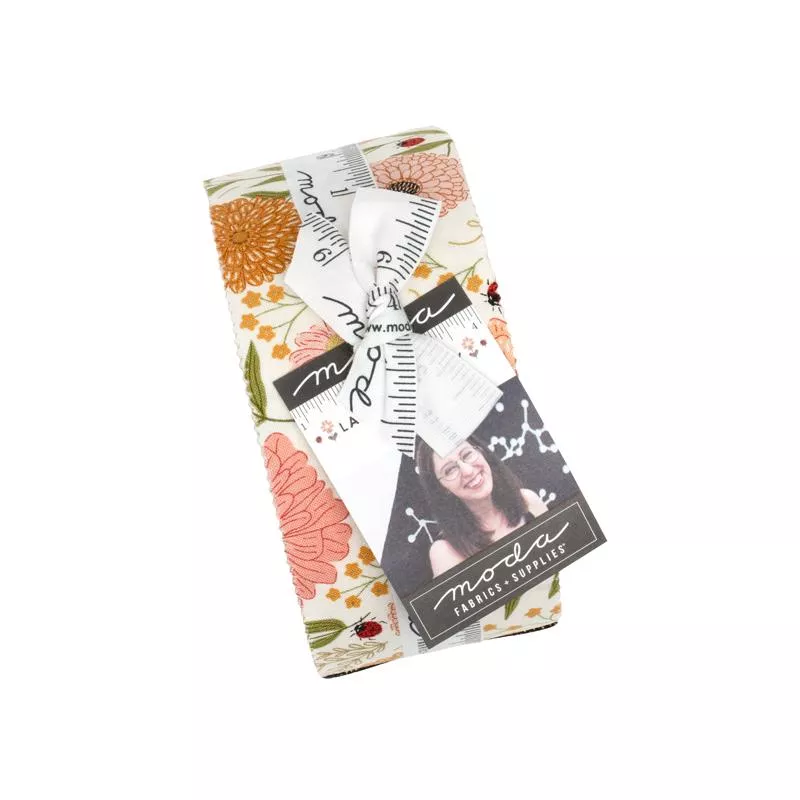Ladybug Whimsy : 2.5" Strips - Jelly Roll - #48440JR - Gingiber