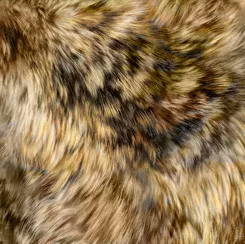 Majestic Wolves : Brown Fur - #1649-28228-A - Rebecca Latham