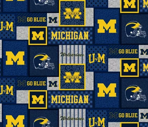 Michigan Fleece by Sykel Studio for Benartex