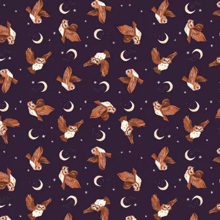 Midnight Studies : Iris Night Flight - #ST-DRR3862IRIS - Dear Stella