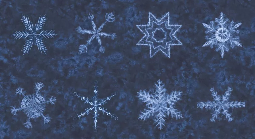 Moda Winter Chill Snowflake Midnight Shibori Panel #81