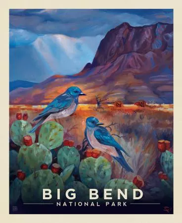 National Parks 36" Big Bend Poster Panel - #PD15097-PANEL